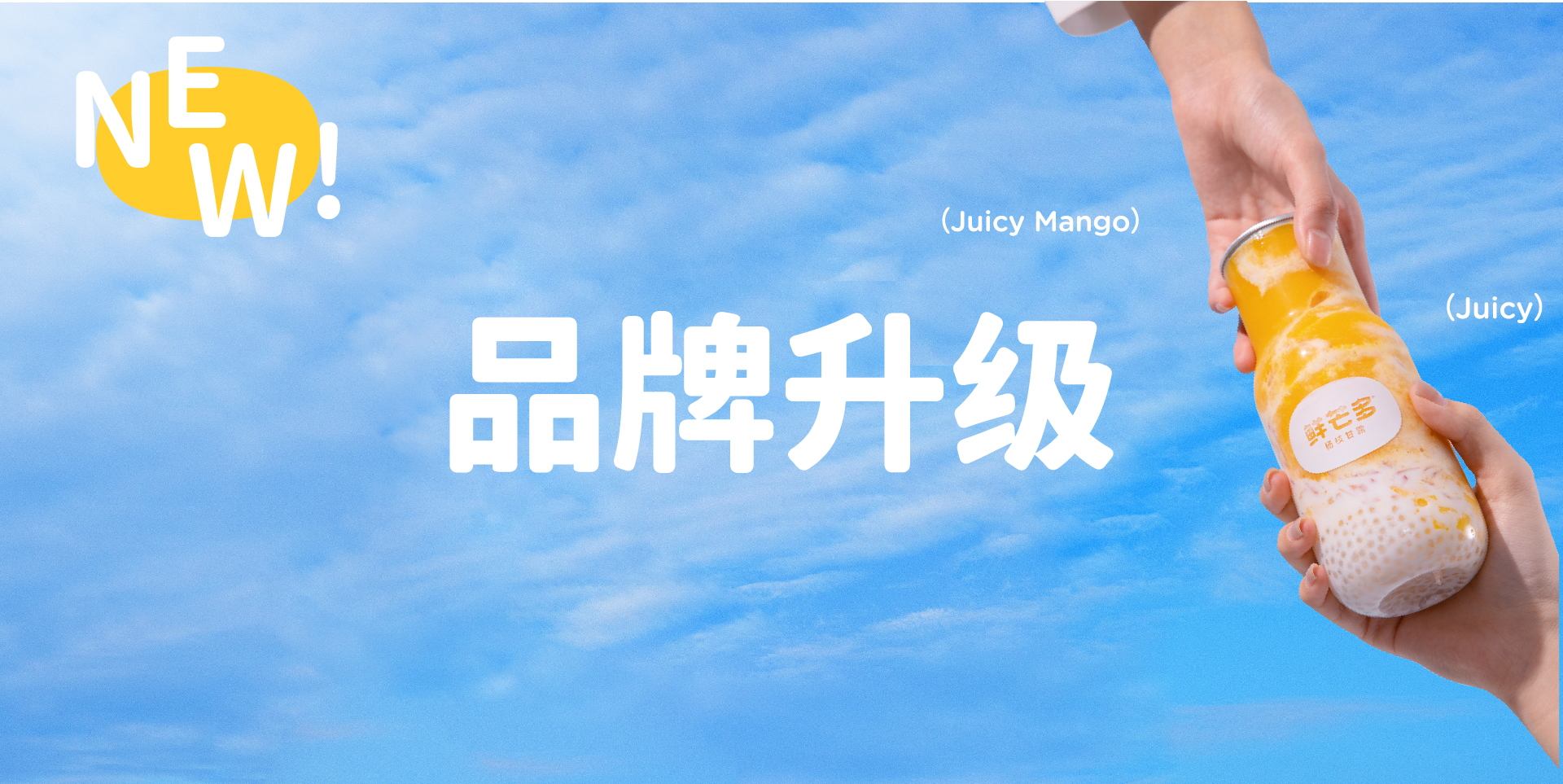 新奥门原料免费资料