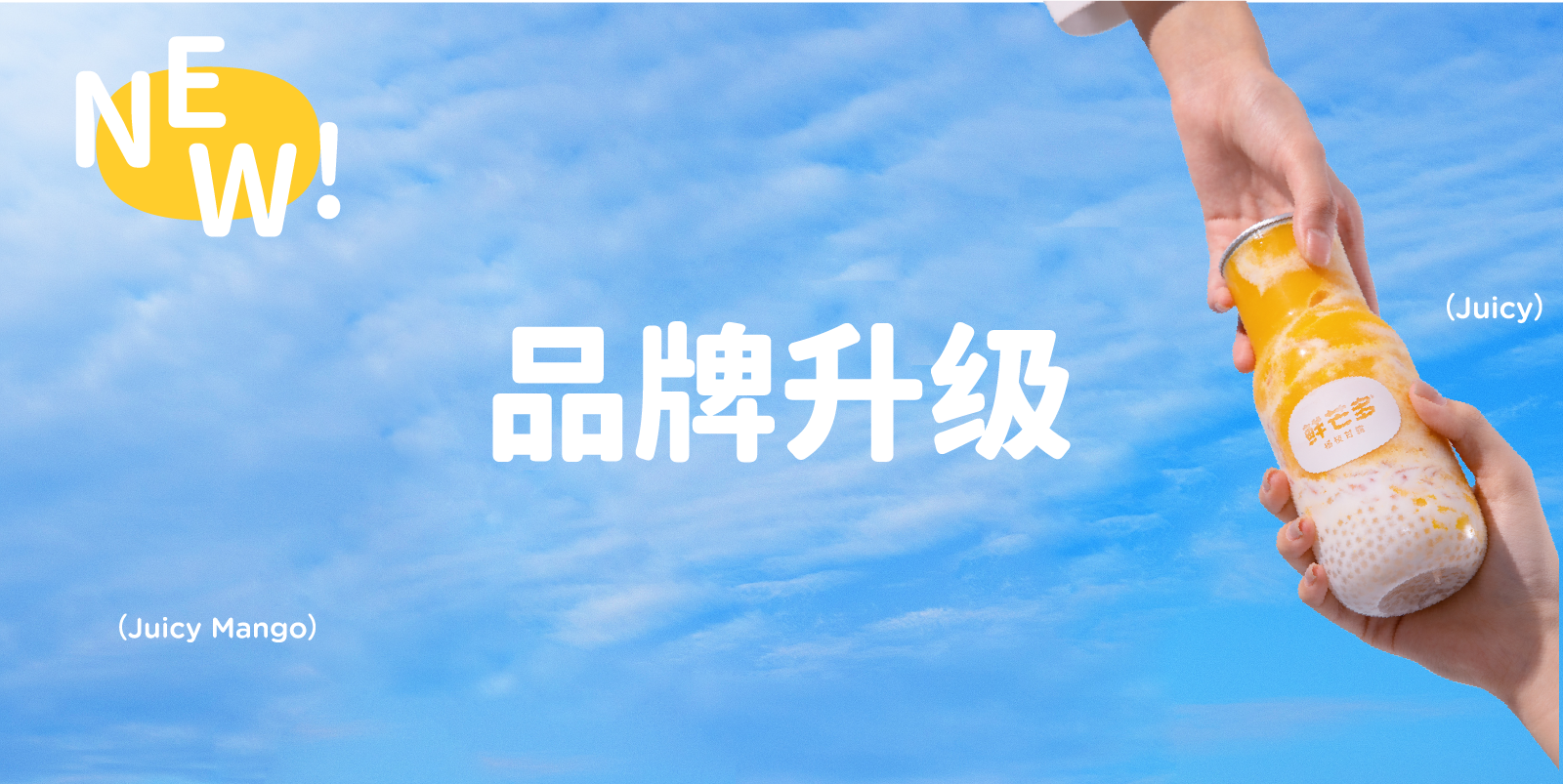 新奥门原料免费资料