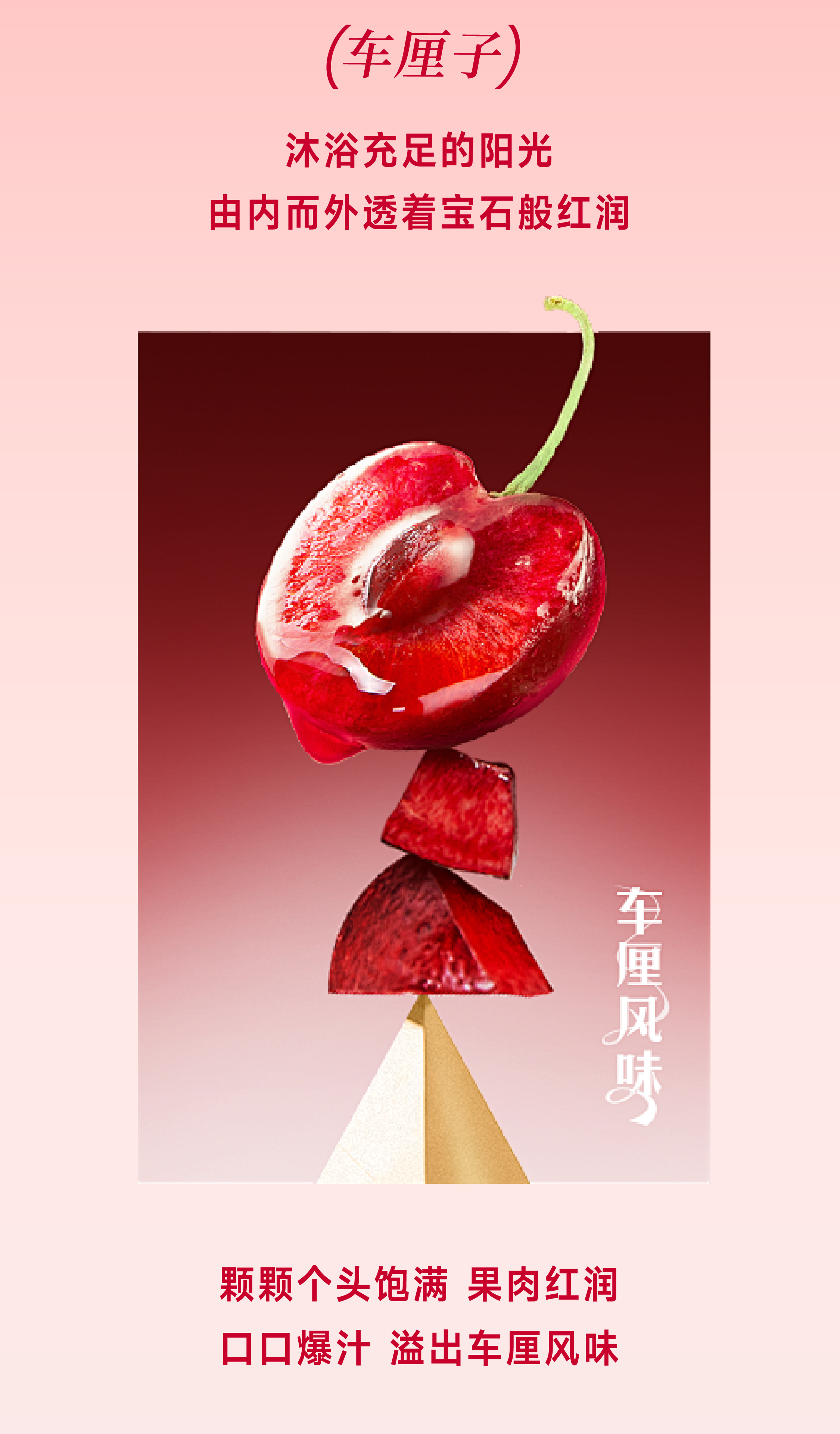 新奥门原料免费资料