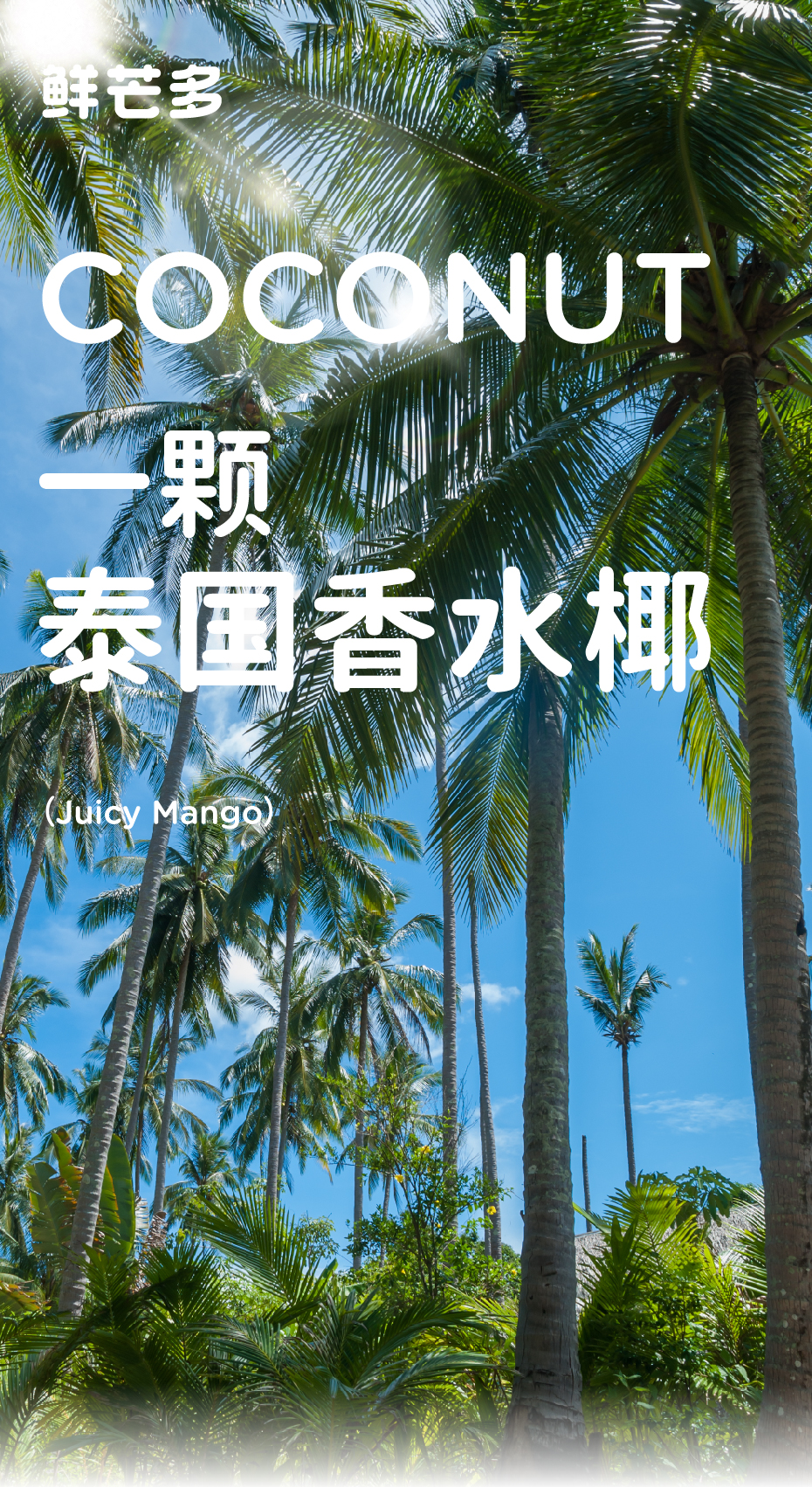 新奥门原料免费资料