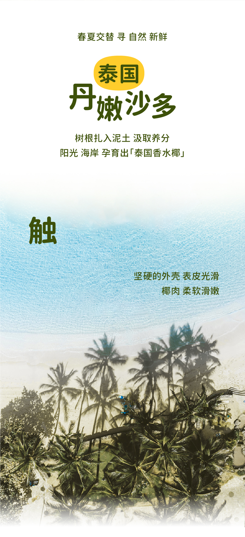 新奥门原料免费资料