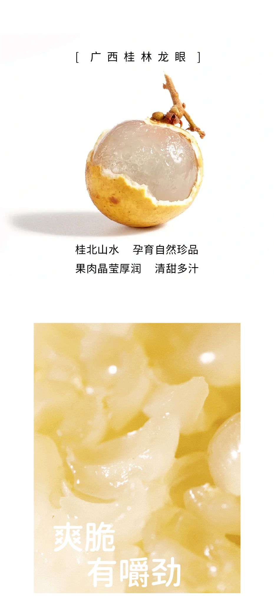 新奥门原料免费资料